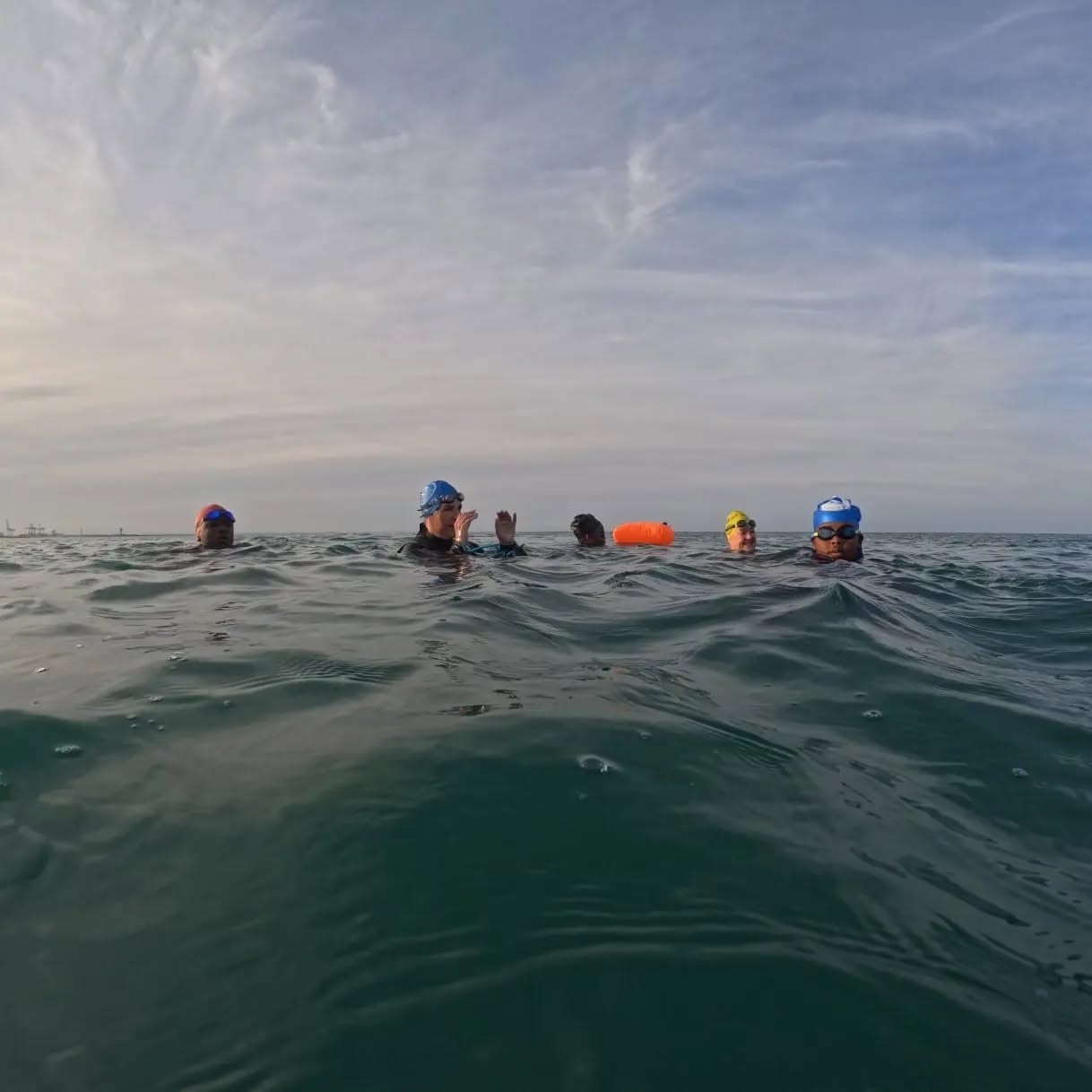 Open-water swimmers at dawn off the Gqeberha coast